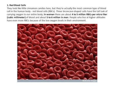 1. Red Blood Cells They look like little cinnamon candies here, but they're actually the most common type of blood cell in the human body - red blood cells.