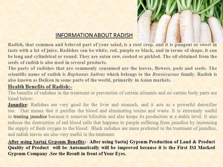 Radish, that common and beloved part of your salad, is a root crop, and it is pungent or sweet in taste with a lot of juice. Radishes can be white, red,