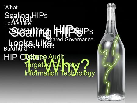 What Scaling HIPs Looks Like HIPs Shared Governance Building a HIP Culture What Scaling HIPs Looks Like Degree Audit Targeted Delivery Information Technology.