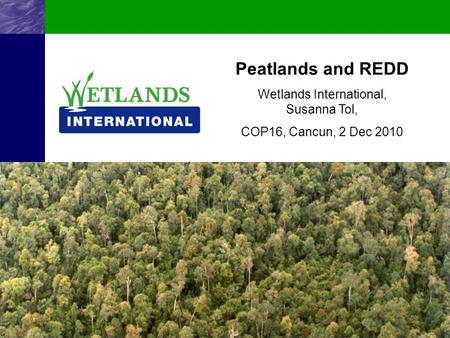 Wetlands International, Susanna Tol,