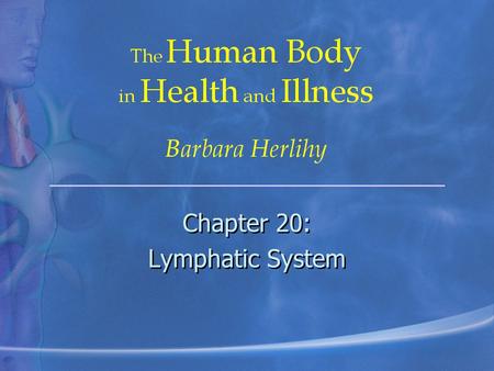 Chapter 20: Lymphatic System