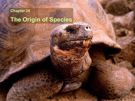 Chapter 24 The Origin of Species.