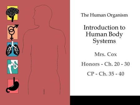 The Human Organism Introduction to Human Body Systems