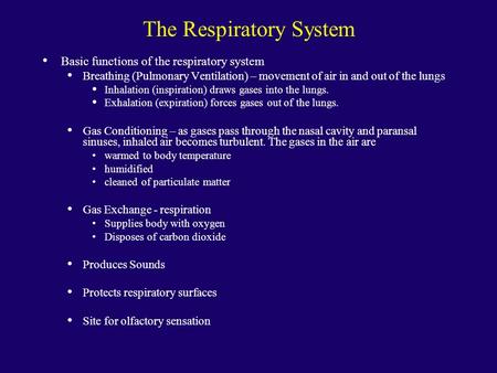 The Respiratory System