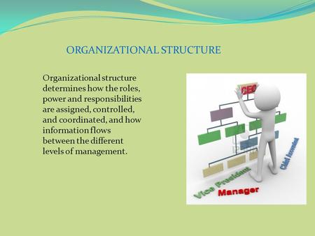 ORGANIZATIONAL STRUCTURE