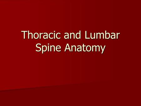 Thoracic and Lumbar Spine Anatomy