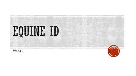 Equine ID Week 1.