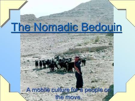 The Nomadic Bedouin A mobile culture for a people on the move.