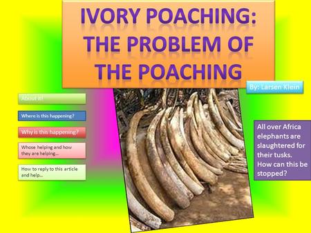 About it! All over Africa elephants are slaughtered for their tusks. How can this be stopped? Where is this happening? Why is this happening? Whose helping.