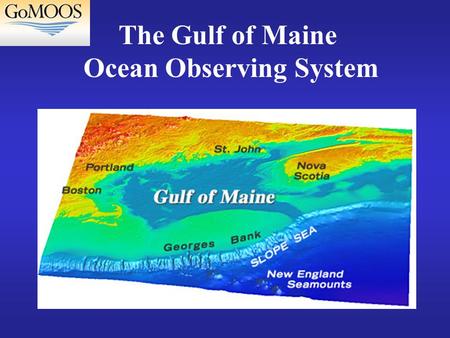 The Gulf of Maine Ocean Observing System. Technical Program Real time monitoring and forecasts of: Weather - surface ocean winds, air temperature, visibility.