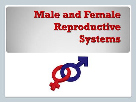 Male and Female Reproductive Systems