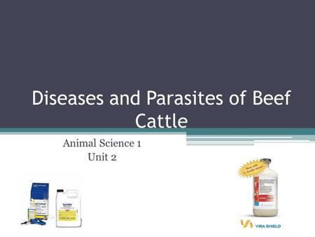 Diseases and Parasites of Beef Cattle