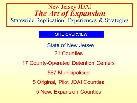 New Jersey JDAI The Art of Expansion Statewide Replication: Experiences & Strategies SITE OVERVIEW 21 Counties 17 County-Operated Detention Centers 567.