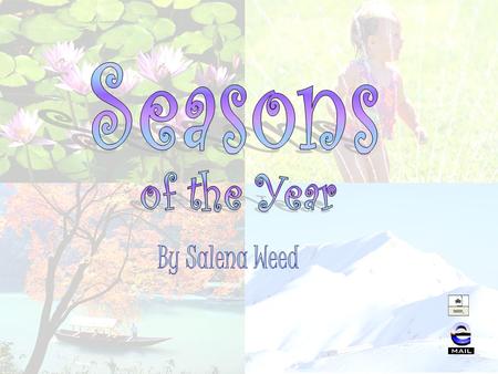 What are seasons? Spring Summer Fall Winter Seasonal Weather Table Favorite Seasons Bar Graph & Pie Chart Seasons Video and Website Extension Activities.