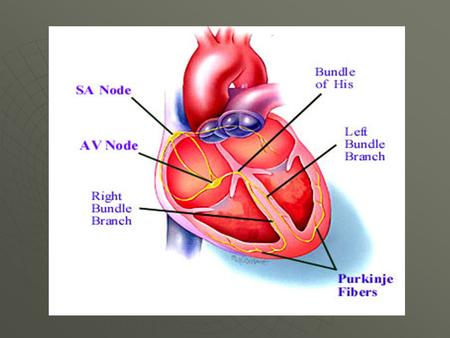 When Your Heart Doesn't Work as It Should