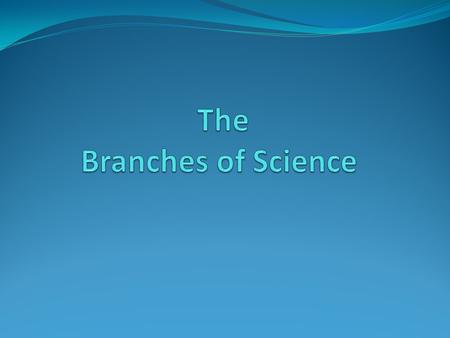 The Branches of Science