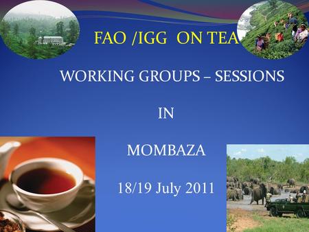 FAO /IGG ON TEA WORKING GROUPS – SESSIONS IN MOMBAZA 18/19 July 2011.