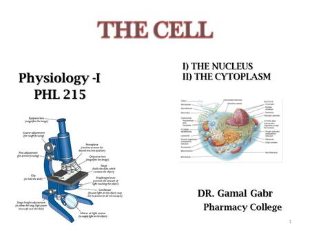 THE CELL Physiology -I PHL 215 DR. Gamal Gabr Pharmacy College