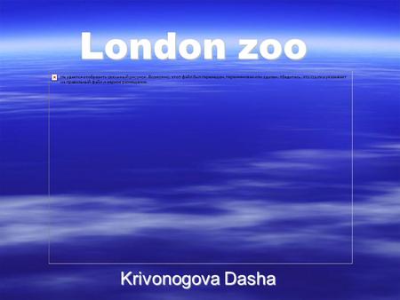 London zoo Krivonogova Dasha. In London there is a very old zoo, which many children with their parents and friends visit it every day.