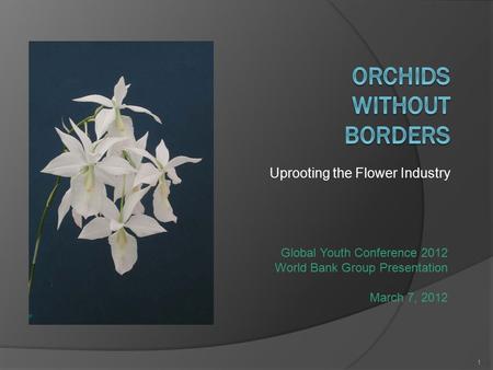 Uprooting the Flower Industry 1 Global Youth Conference 2012 World Bank Group Presentation March 7, 2012.