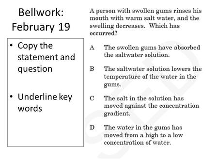 Bellwork: February 19 Copy the statement and question Underline key words.