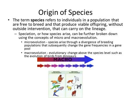 Origin of Species The term species refers to individuals in a population that are free to breed and that produce viable offspring, without outside intervention,