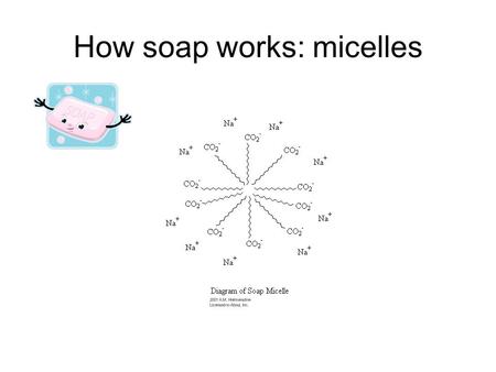 How soap works: micelles