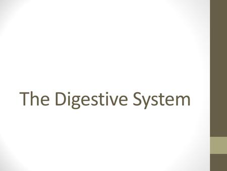 The Digestive System.