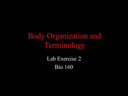 Body Organization and Terminology