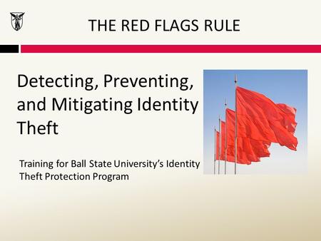 Detecting, Preventing, and Mitigating Identity Theft