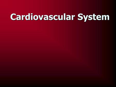 Cardiovascular System