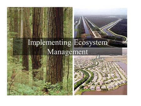 Implementing Ecosystem Management. An Ecosystem Management Process Step 1.Select an ecologically meaningful unit (e.g. an ecoregion, a landscape, a watershed,