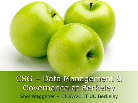 CSG – Data Management & Governance at Berkeley Shel Waggener – CIO/AVC IT UC Berkeley.