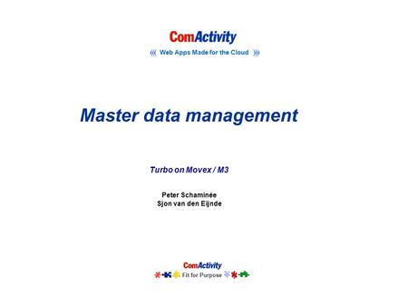 Master data management