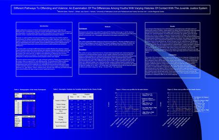 Different Pathways To Offending and Violence: An Examination Of The Differences Among Youths With Varying Histories Of Contact With The Juvenile Justice.