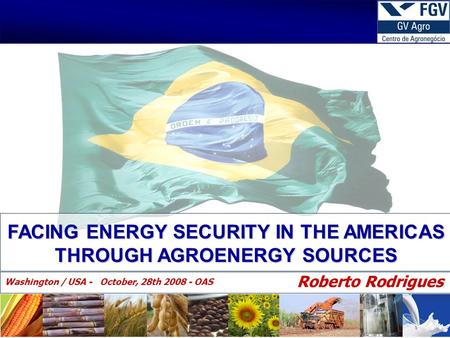 FACING ENERGY SECURITY IN THE AMERICAS THROUGH AGROENERGY SOURCES Roberto Rodrigues Washington / USA - October, 28th 2008 - OAS.