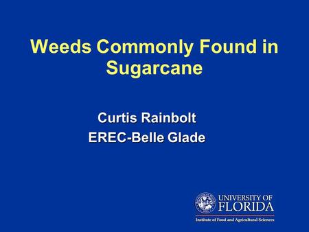 Weeds Commonly Found in Sugarcane