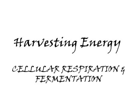 Harvesting Energy CELLULAR RESPIRATION & FERMENTATION.