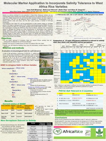 Molecular Marker Application to Incorporate Salinity Tolerance to West Africa Rice Varieties Isaac Kofi Bimpong 1, Baboucarr Manneh 1, Bathe Diop 1 and.