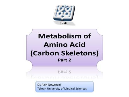 Metabolism of Amino Acid