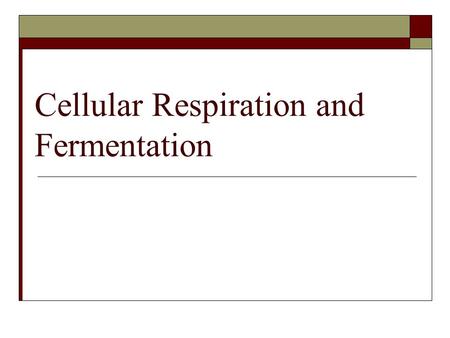 Cellular Respiration and Fermentation