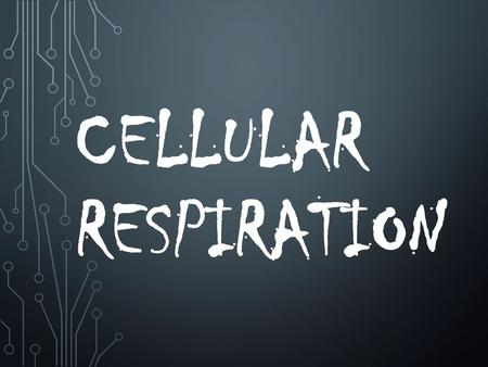 Cellular Respiration.