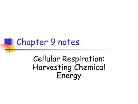 Cellular Respiration: Harvesting Chemical Energy