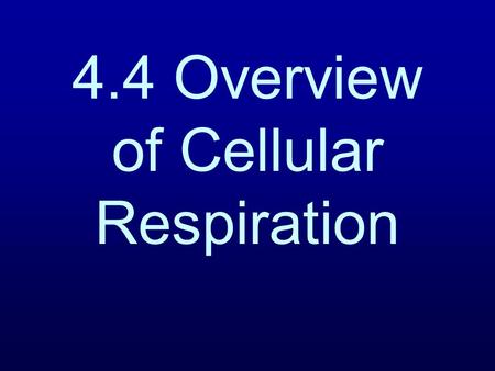 4.4 Overview of Cellular Respiration