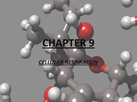 CHAPTER 9 CELLULAR RESPIRATION.