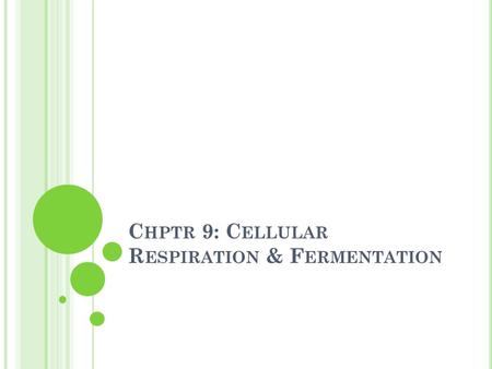 C HPTR 9: C ELLULAR R ESPIRATION & F ERMENTATION.