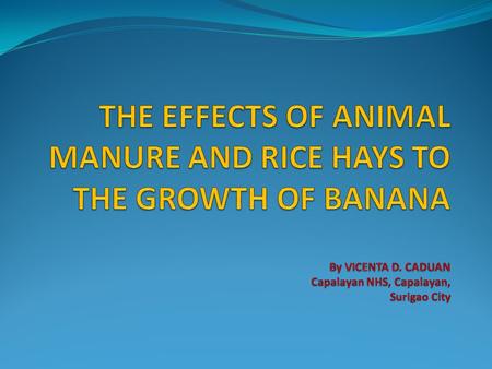 Introduction Rationale of the study Bananas are the most popular fruit in the world. The banana is, in fact, not a tree but a high herb that grows up.