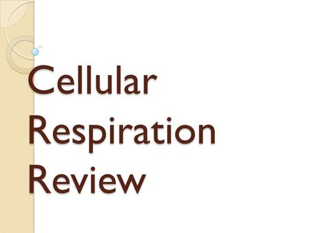 Cellular Respiration Review