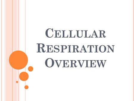 Cellular Respiration Overview