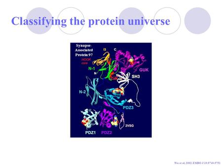 Classifying the protein universe Synapse- Associated Protein 97 Wu et al, 2002. EMBO J 19:5740-5751.